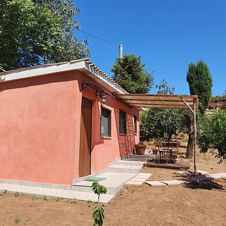 Azienda Agricola Sinisi Черветере Номер фото
