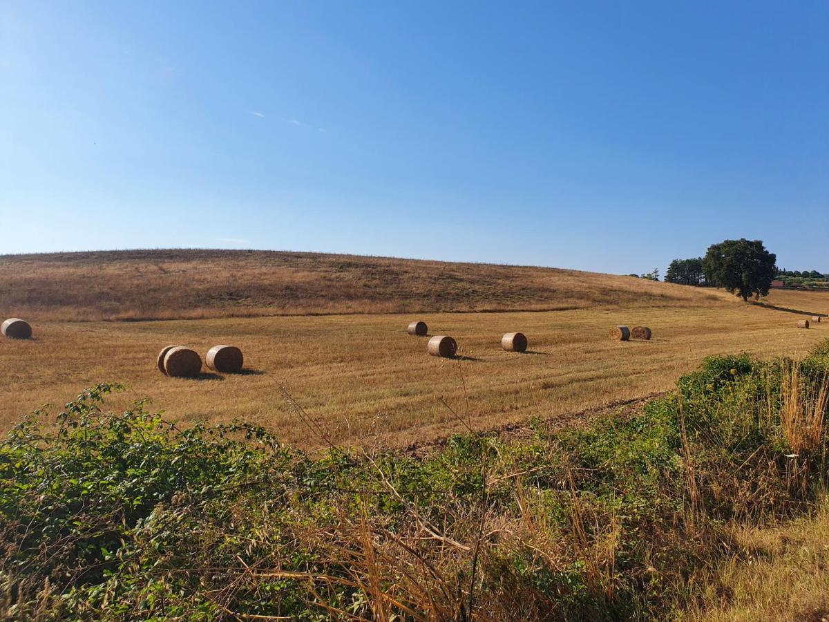 Вилла Azienda Agricola Sinisi Черветере Экстерьер фото