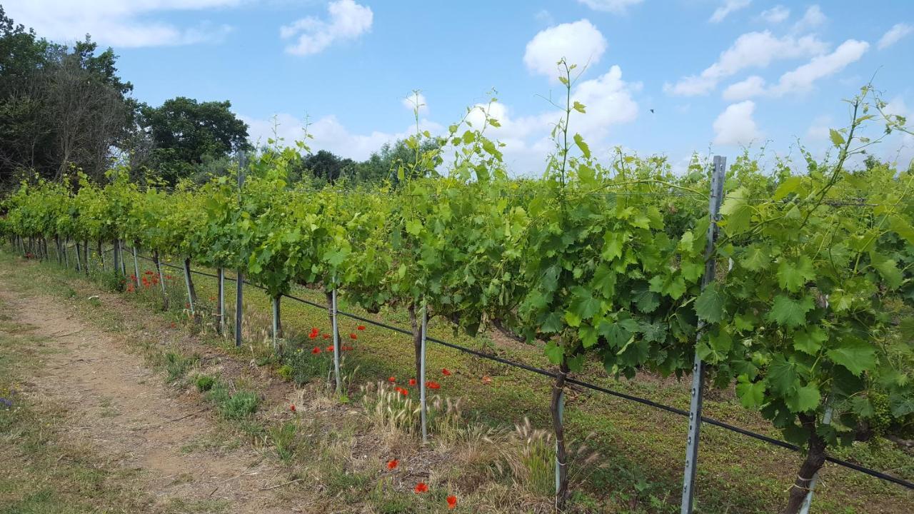 Azienda Agricola Sinisi Черветере Экстерьер фото