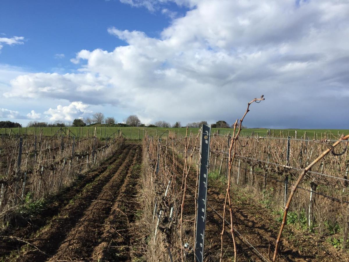 Azienda Agricola Sinisi Черветере Экстерьер фото