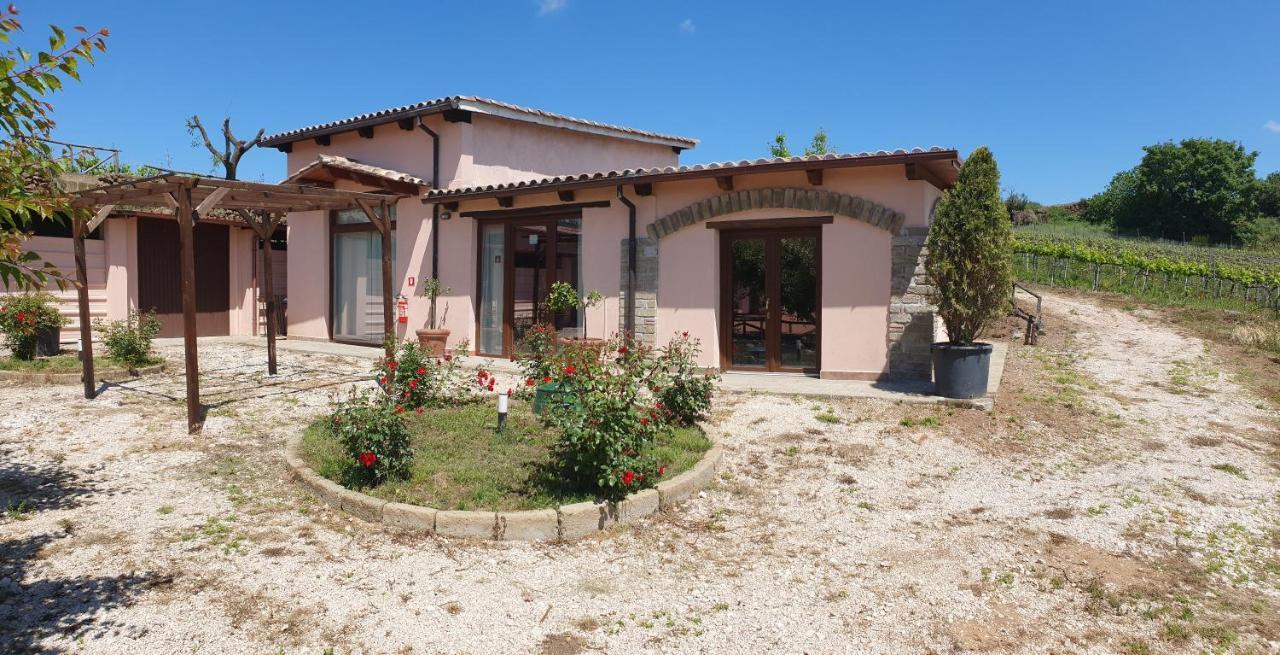 Azienda Agricola Sinisi Черветере Экстерьер фото